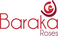 Baraka-Roses-Logo-MOBILE